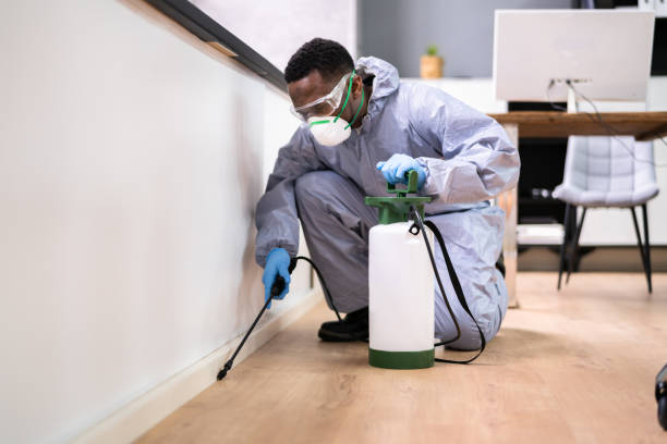 Best Residential Pest Control  in Wheatland, WY